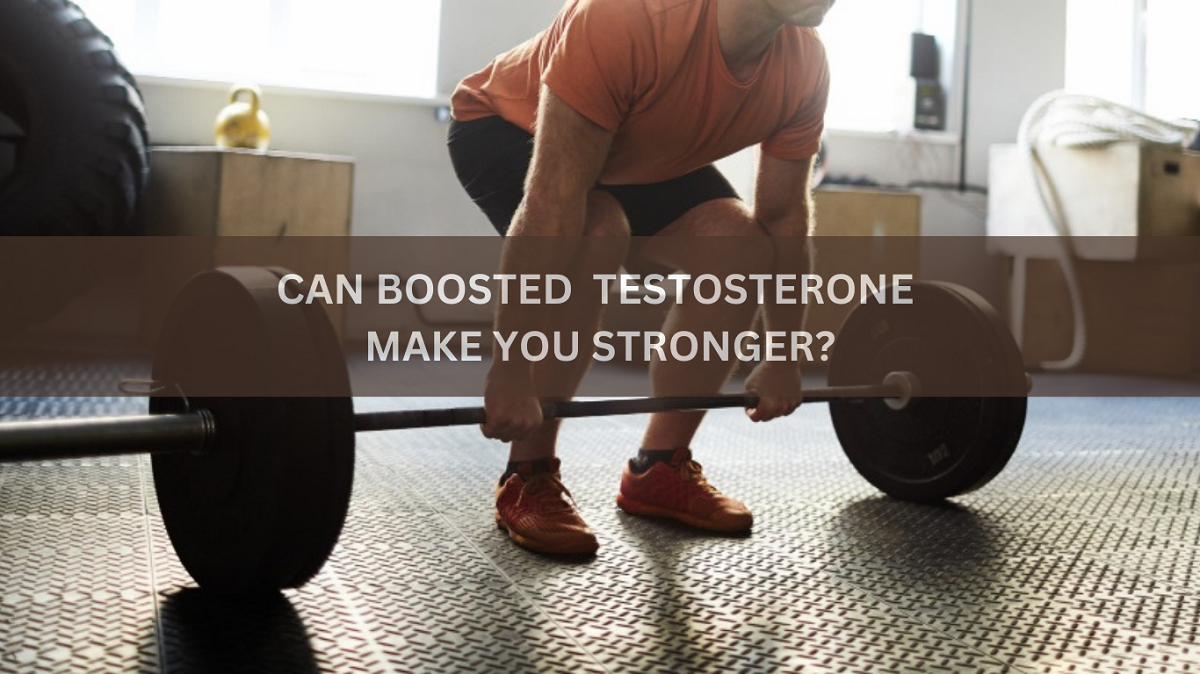 CAN BOOSTED TESTOSTERONE MAKE YOU STRONGER
