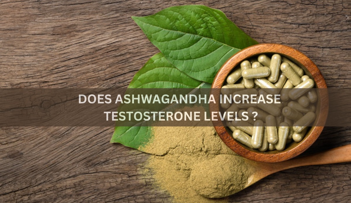Does Ashwagandha Increase Testosterone Levels?