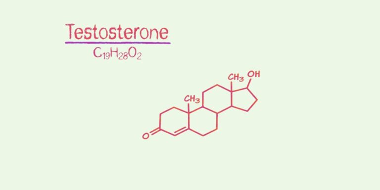 Does Environment Impact Testosterone Levels?
