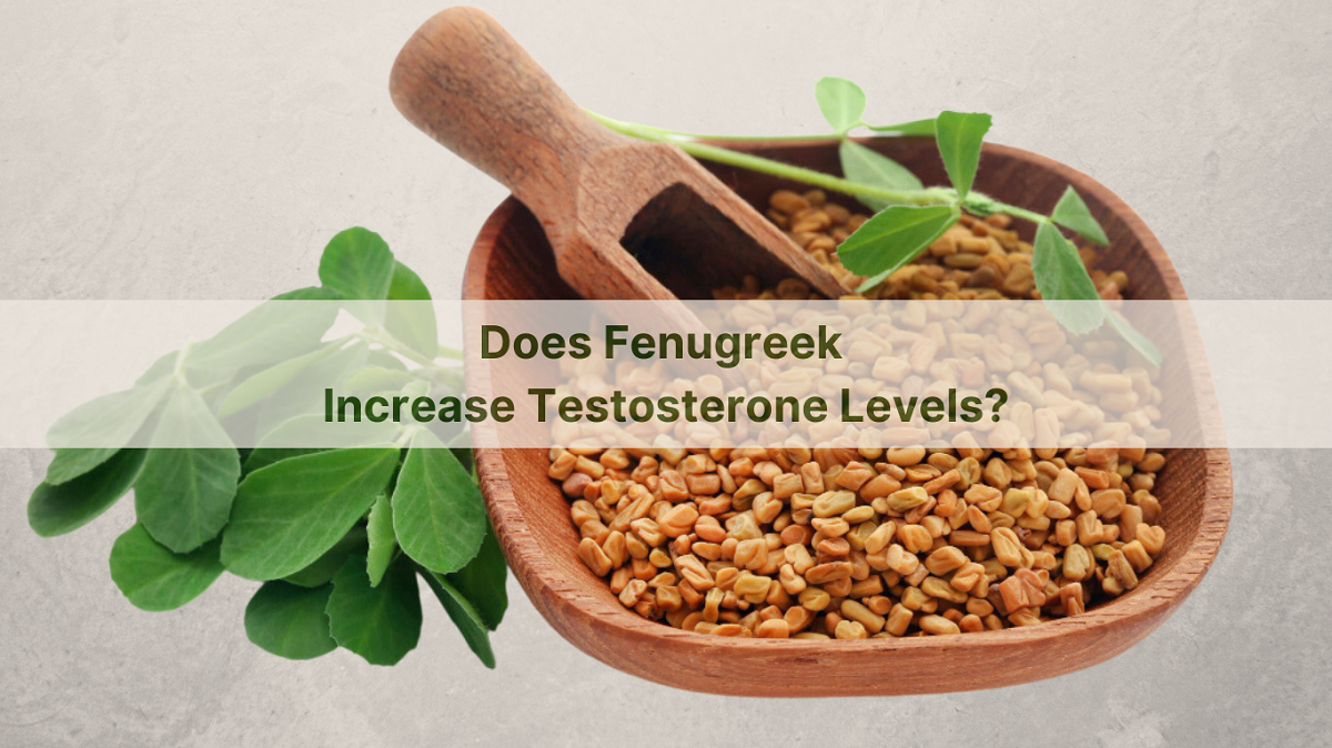 Does Fenugreek Increase Testosterone Levels