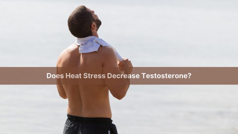 Does Heat Stress Decrease Testosterone?