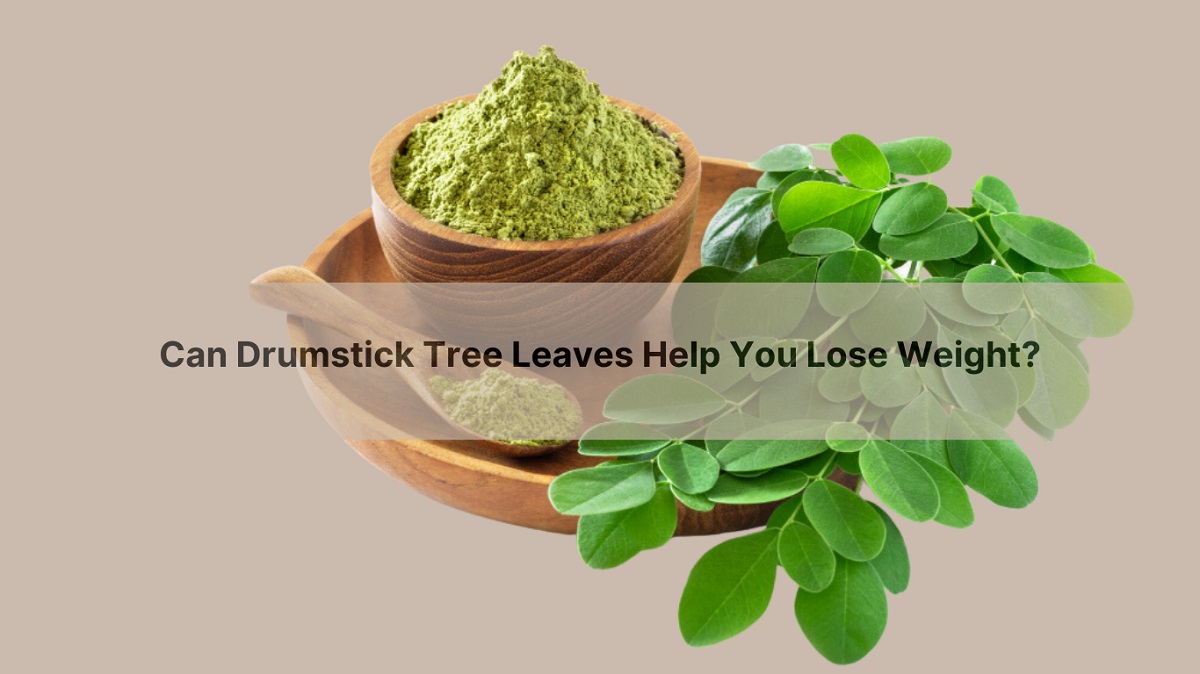 Can Drumstick Tree Leaves Help You Lose Weight?