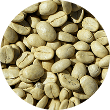 Leanbean Ingredients Green Coffee